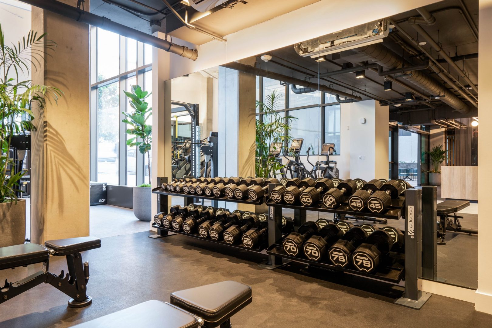 Apartment Gym with high-end equipment